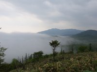 img (20)